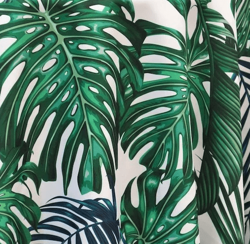 Leaf / Tropical Prints